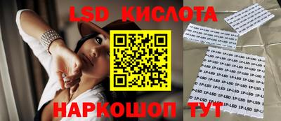 стаф Ставрополь
