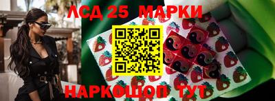 стаф Ставрополь